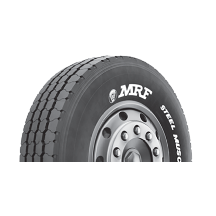 STEEL MUSCLE S1L6